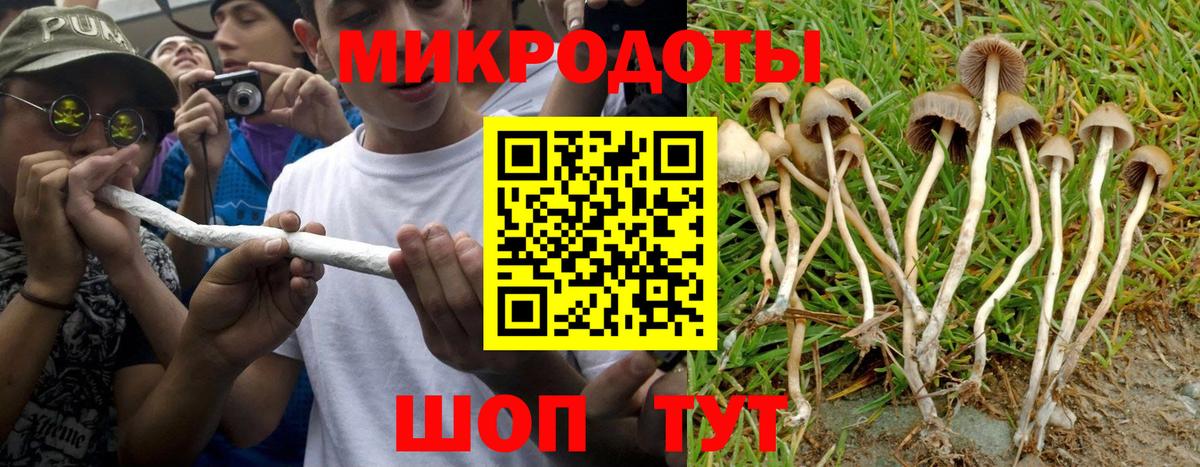 Галлюциногенные грибы MAGIC MUSHROOMS  Вход с VPN  Калуга 